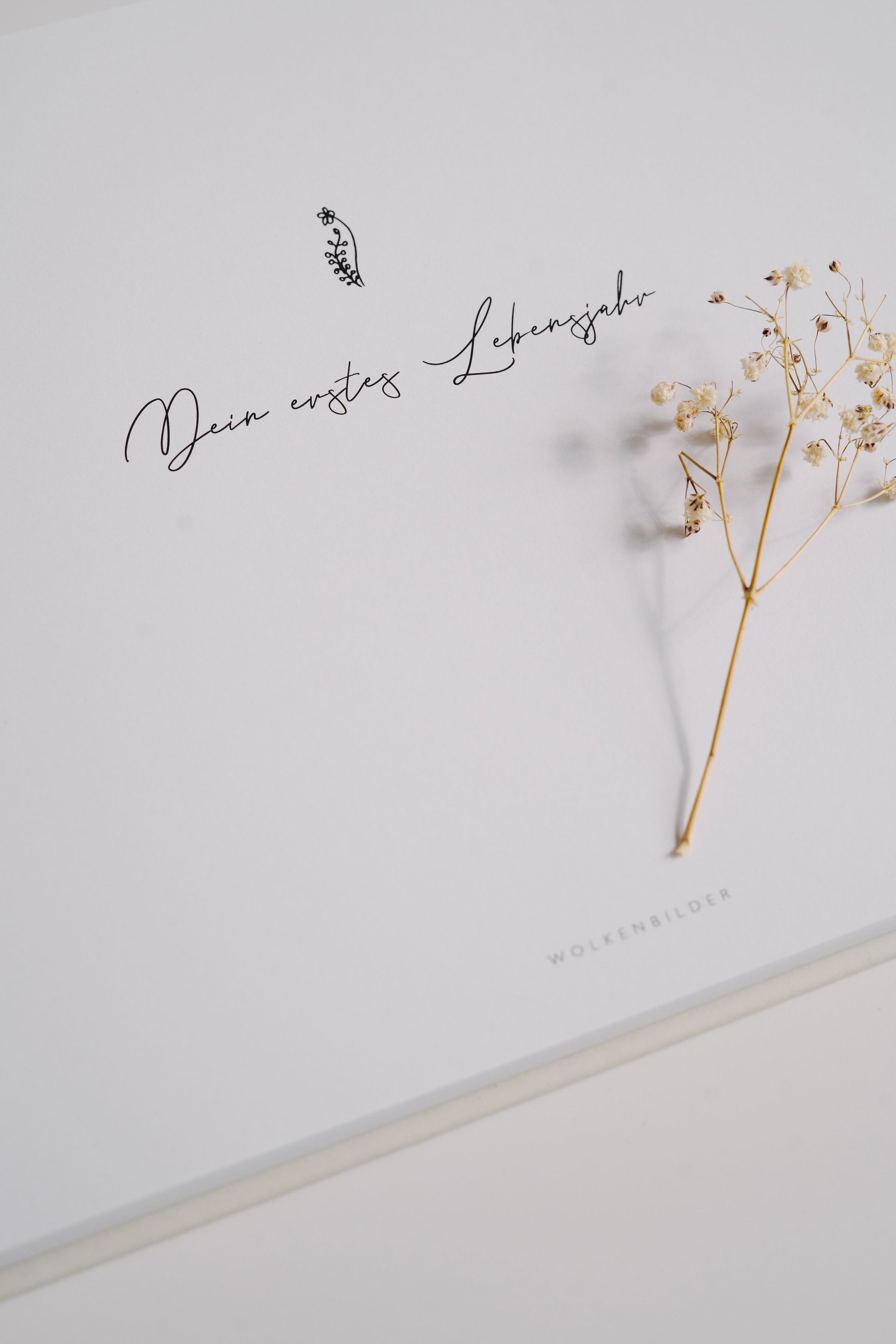 Babytagebuch & Fotoalbum "Deine ersten drei Jahre"