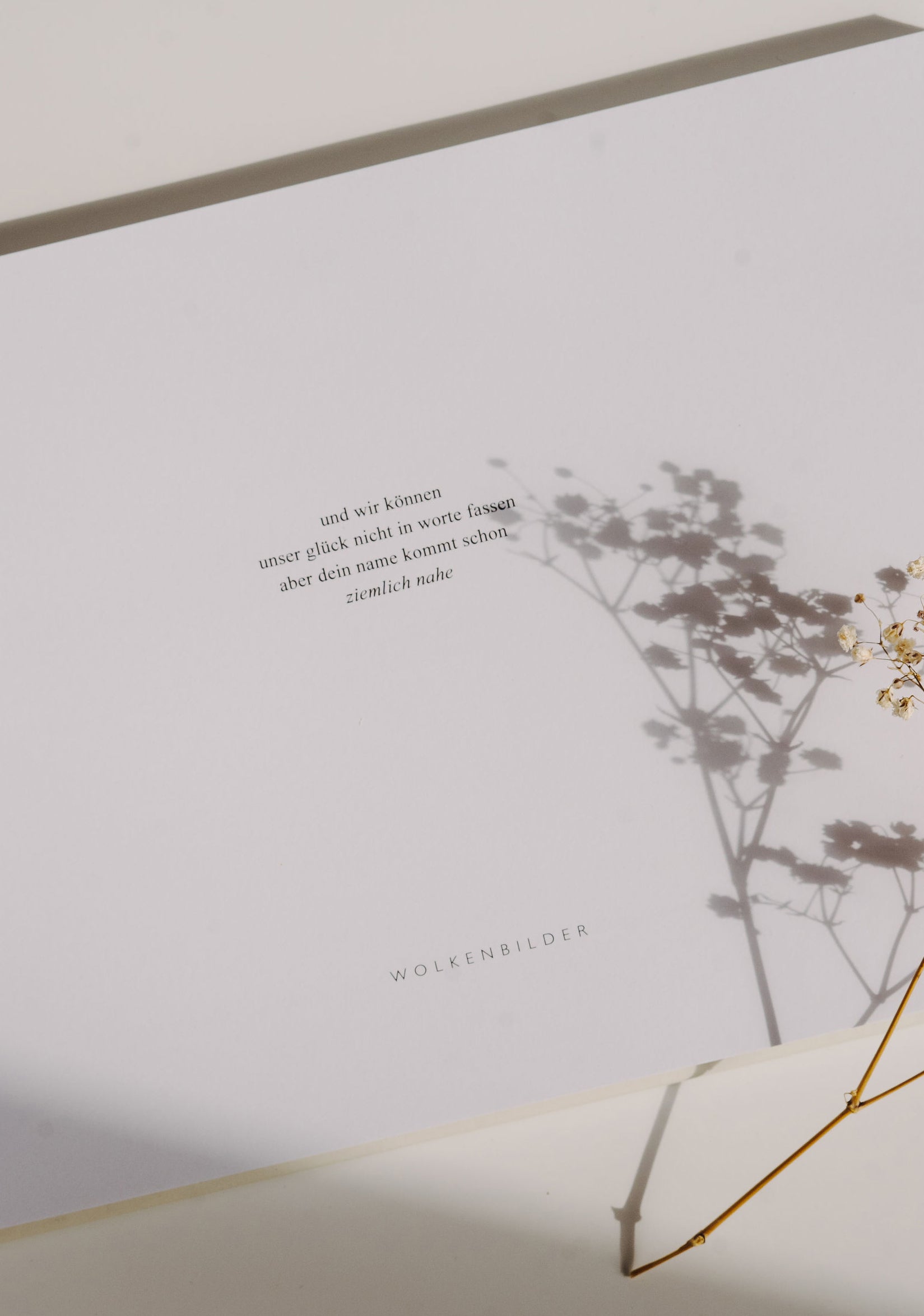 Babytagebuch & Fotoalbum "Deine ersten drei Jahre"