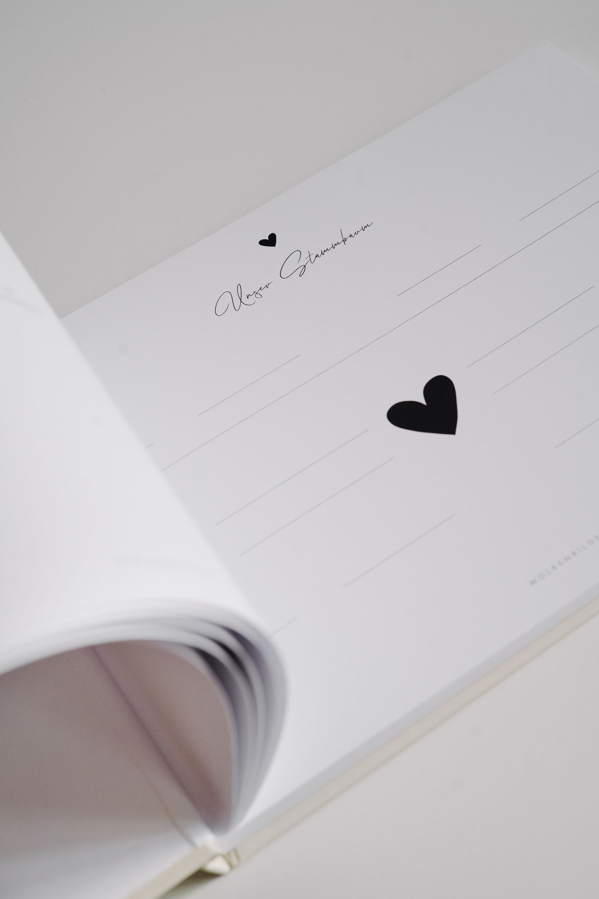 Babytagebuch & Fotoalbum "Deine ersten drei Jahre"